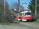8057 - 101/19 - smyka Radoovick - 25.3.2012.