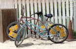 Bahamas Bike