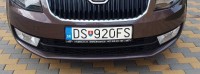 DS 920FS