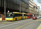 Mstsk autobusy v Blehrad