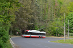 Trolejbus v lese:-) 416 Dlce 4. 5. 2020