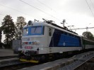 242 250-9, Petice