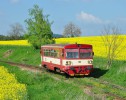 Rozsochy - Bystice nad Perntejnem