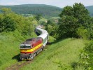 754.062, 842.002pk, Os 4313, Pitn, 6.6.2010