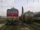 363 133 + ED72-013