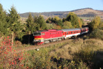 754.034, R 952, Odboka Doln tuba, 20.10.2022