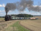 434.2186 /Sp 9080 "Ferdinand"/ a T435.003 /"Poszavsk pacifik"/ ped Domanem (29.8.2015)