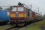 372.009 (+ 742.089 + 111.009 + 034 + 110.037 + 005) st nad Labem zpad 13.8.2011