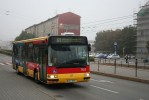 Dnen mln rno, Nov Sady a reklamn Citybus.