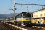 750.258, Dn vchod, R1161, 28.12.2008 (foto: V.Musil)