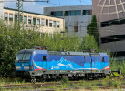 393.002, Passau Hbf, 31.8.2024