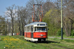 6003 Jelen 21. 4. 2023