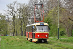 7001 Jelen (Brusnice) 25. 4. 2023