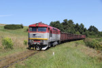 751.074, Mn 81214, Raslavice, 31.7.2024