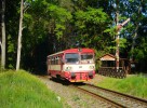 Boro - Holice, cyklostezka nad Velinami