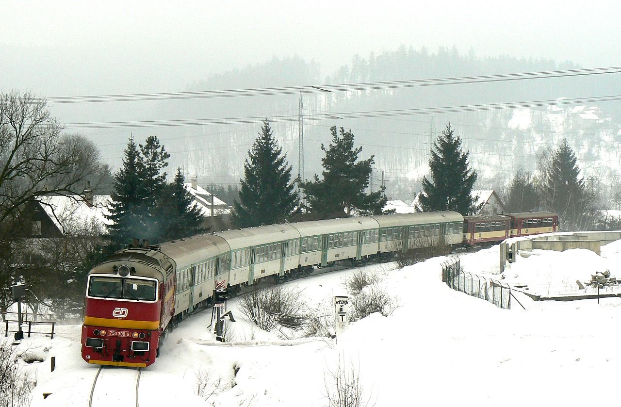 750.308 , Valask Mezi , 13.2.2010 , foto:Vojtch Gek