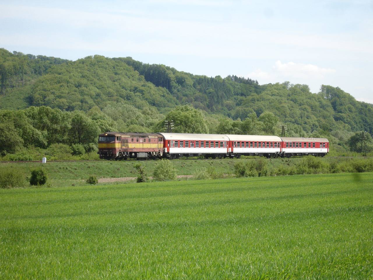 751.114 s mimoriadnym vlakom OsR 31158 uhana do Lupkowa za obcou Hrabovec n/L, 14.5.2011