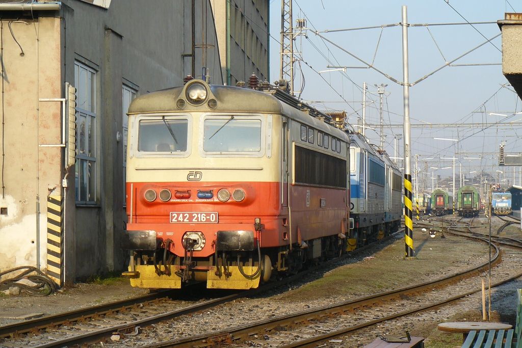 242 216-0+163 040+362 110 Perov(8.2.2013,foto-Ale Krka)