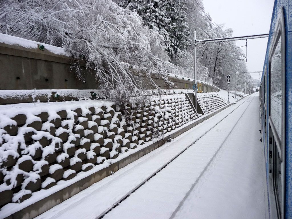 st odstrannho spadlho stromu mezi tunelem a pevnou jzdn drhou (Rudoltice - Tebovice)