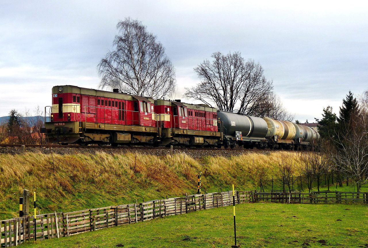 742.108+742.263, Valask Mezi , 13.11.2010, foto:Vojtch Gek