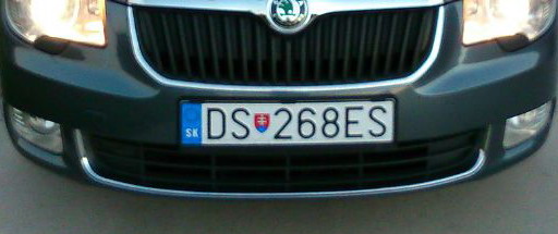 DS 268ES