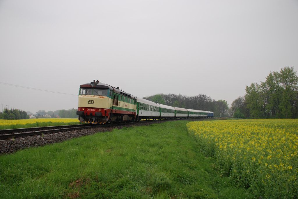 749.250, sek Bystrovany - Velk Bystice, Sp1627, 1.5.2010