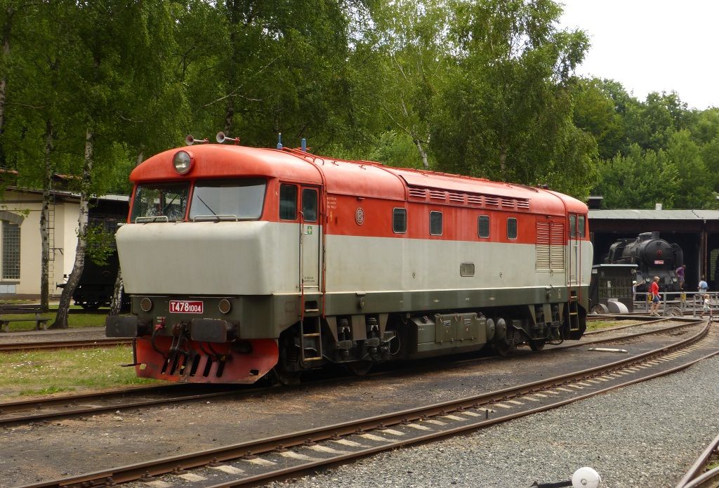 T478.1004 Lun u Rakovnka(31.7.2013,foto-Ale Krka)