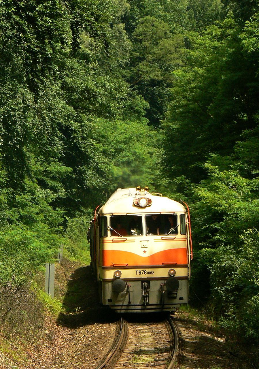 T678.0012 , Lun u Rakovnka , 27.6.2009