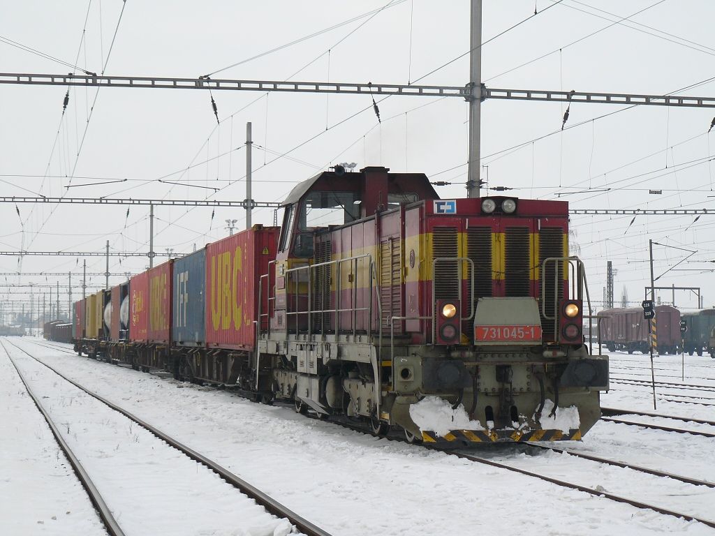 731.045-1 Perov(16.1.2010,Z5,foto-Ale Krka)