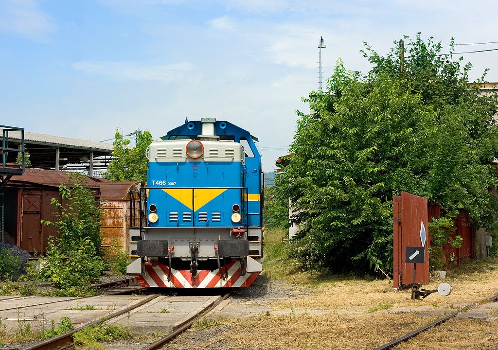 T 466.0007 , Valask Mezi , 4.7.2010