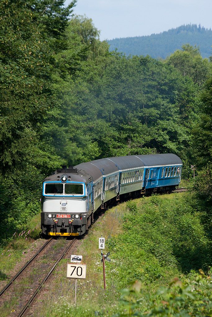 754.046, R 828 pik, Zelen Lhota - Hamry - Hojsova Str, 14.7.2013