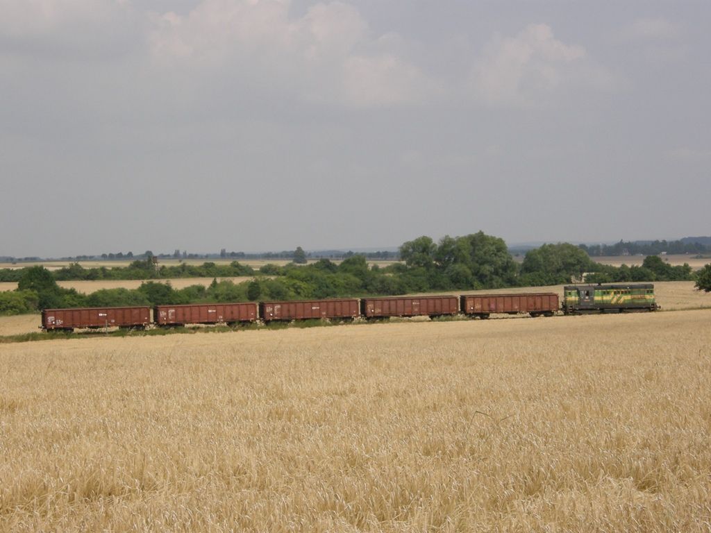 742.129-0 s Mn 85061 se bl k dopravn Skovice dne 28.7.2010