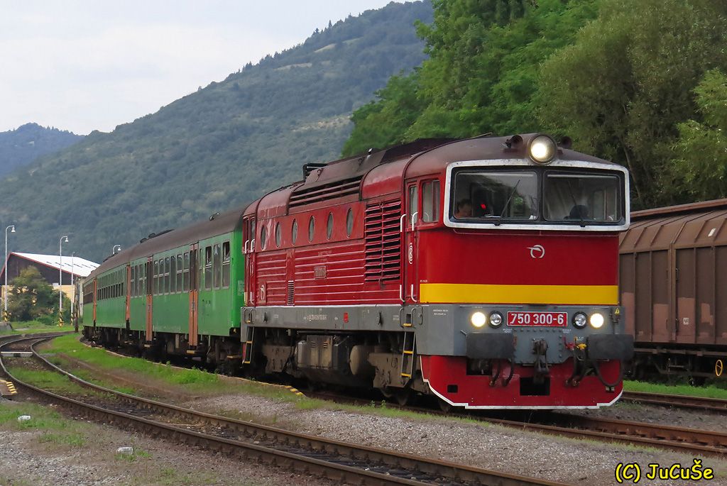 750 300-6, Sv, Kremnica, 09.08.2014, foto: Juraj evk