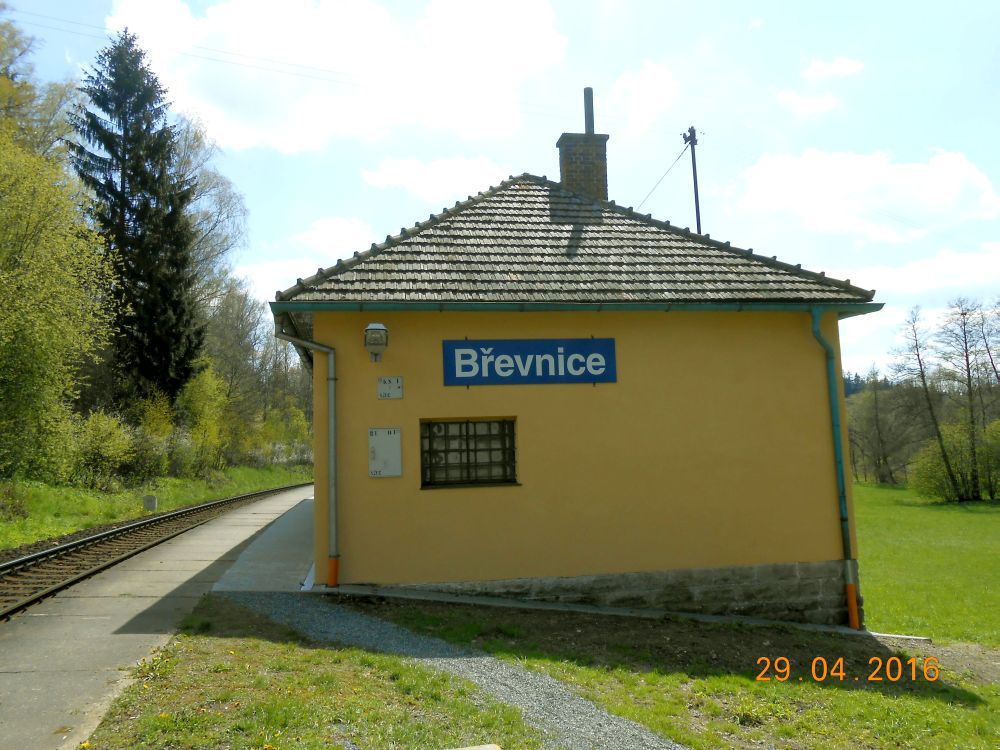 Bevnice