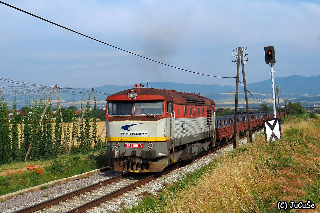 751 109-0, Mn 86670, Trenianska Turn, 29.06.2015, foto: Juraj evk