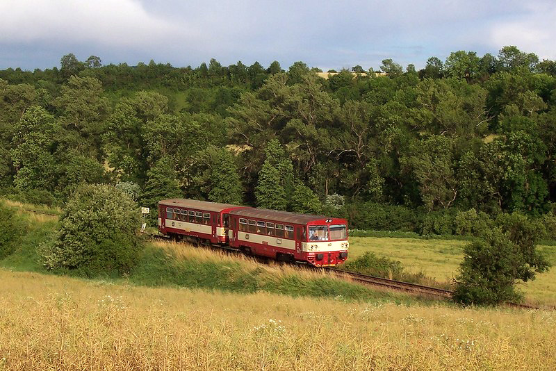 bei Ober Rzepsch, 23.6.2007