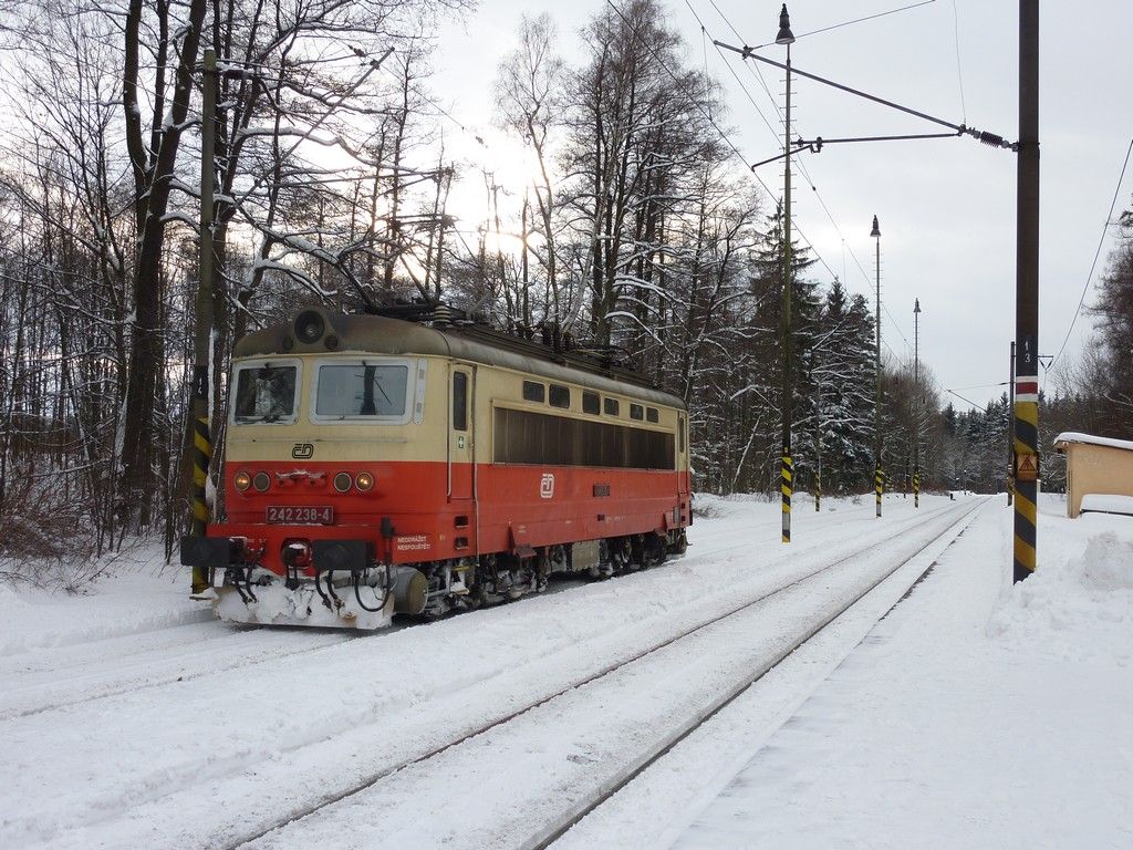 242 238-4 pi objdn soupravy, Potky-irovnice, 29.1.2010