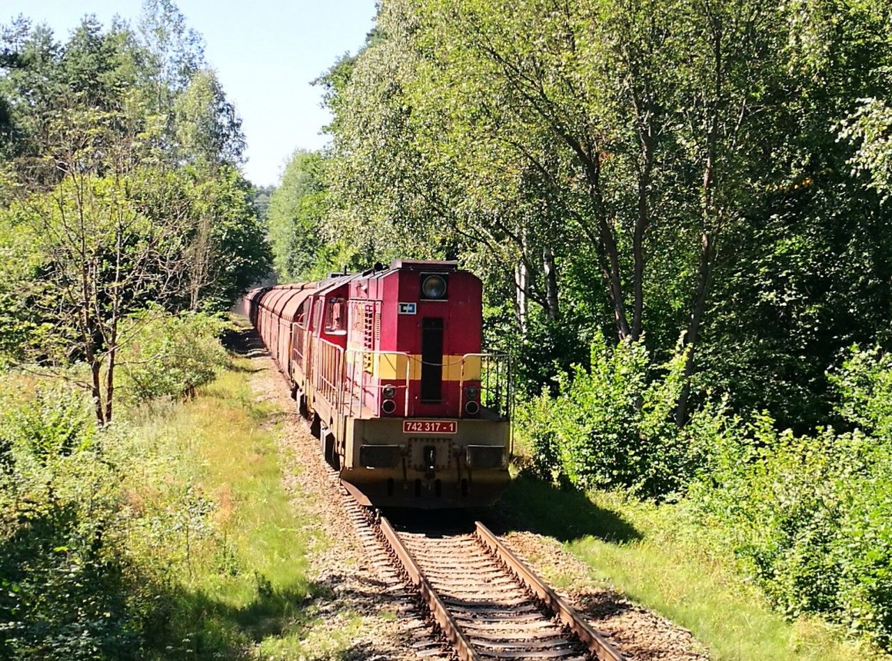 742 217+317,Bl pod Bezdzem,8.8.2016