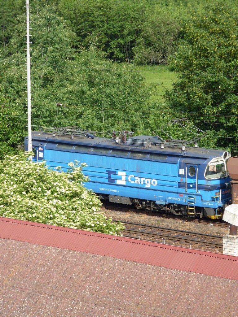 230.066, Popeln, 15.6.2011