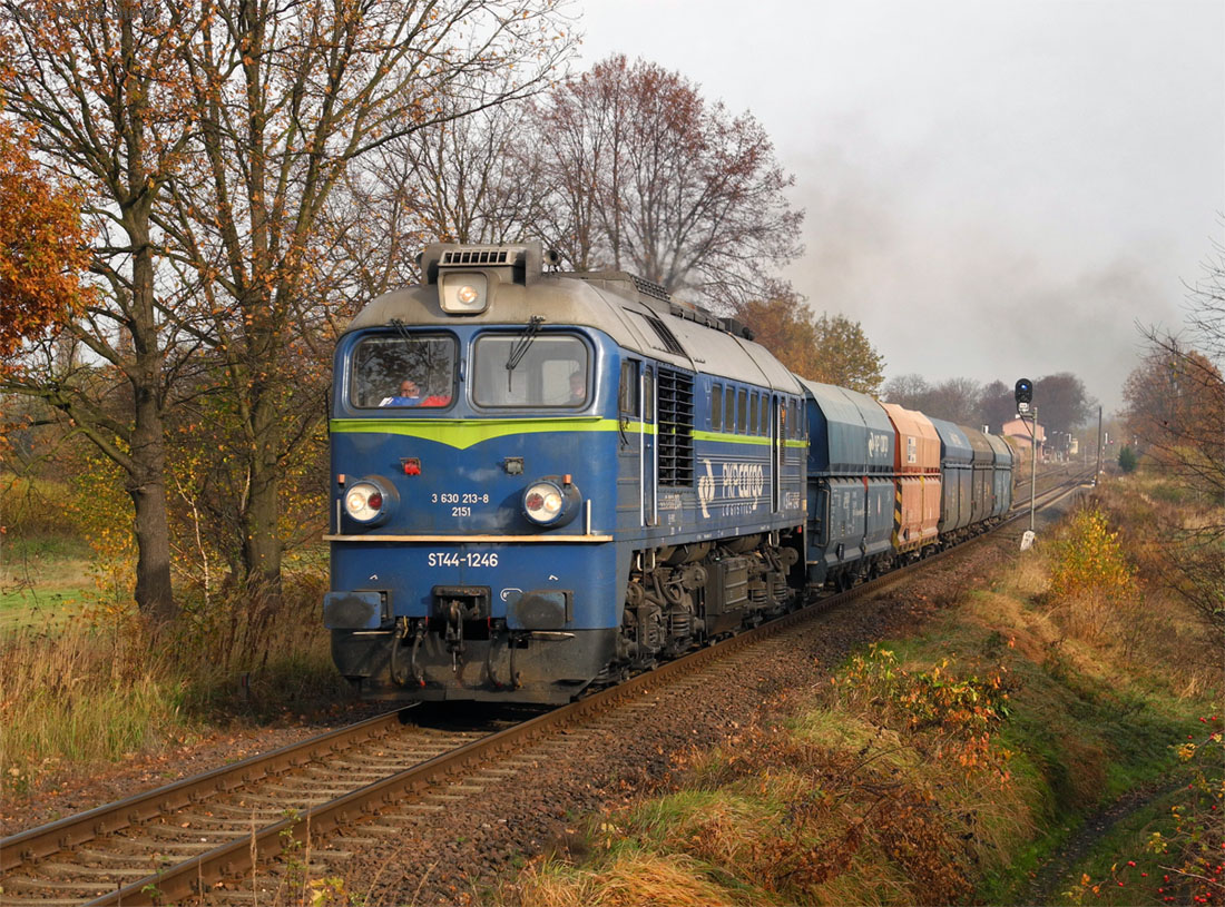 Krzewina Zgorzelecka, 25. 10. 2013