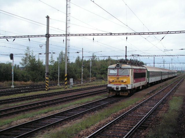 242 256  vluka -Protivn