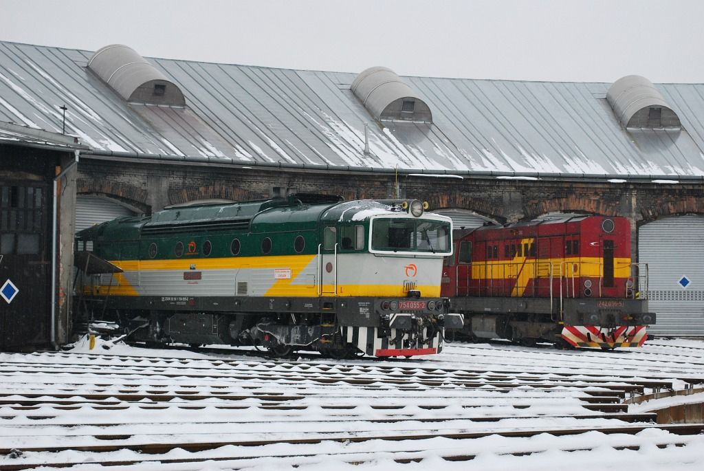 754 055 & 742 056, depo ilina, 30.1.2010