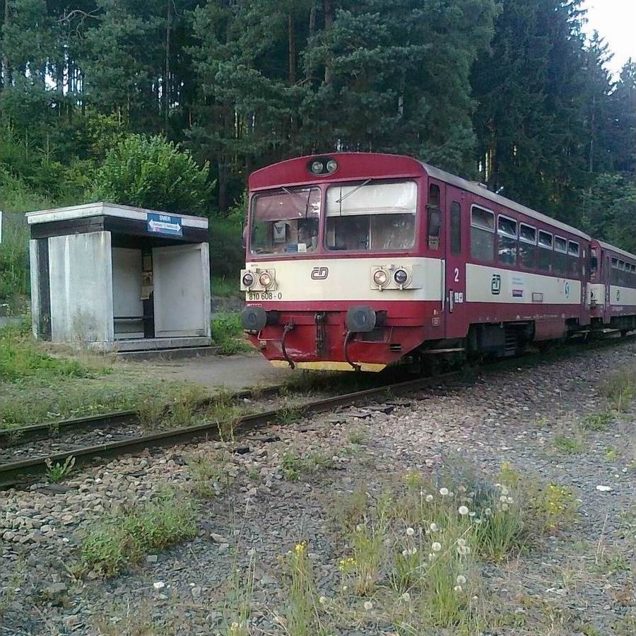 810 608 Zastvka Mrzkovice 26.7.2013