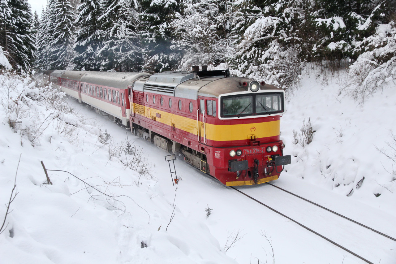 754.036, R 939, 31.1.2023