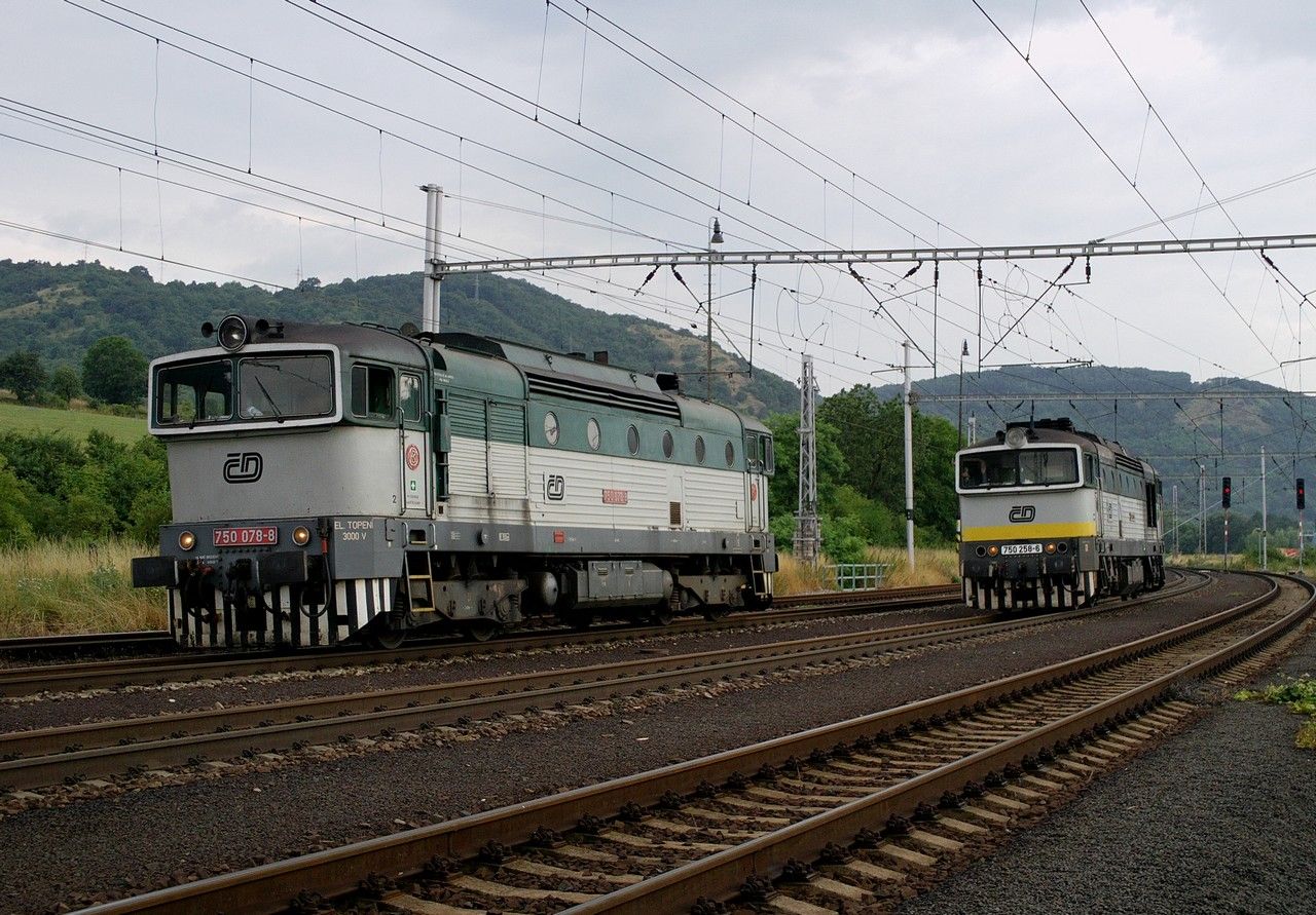 750.078 & 750.258 v st. Prackovice n./L., 13.7.2010