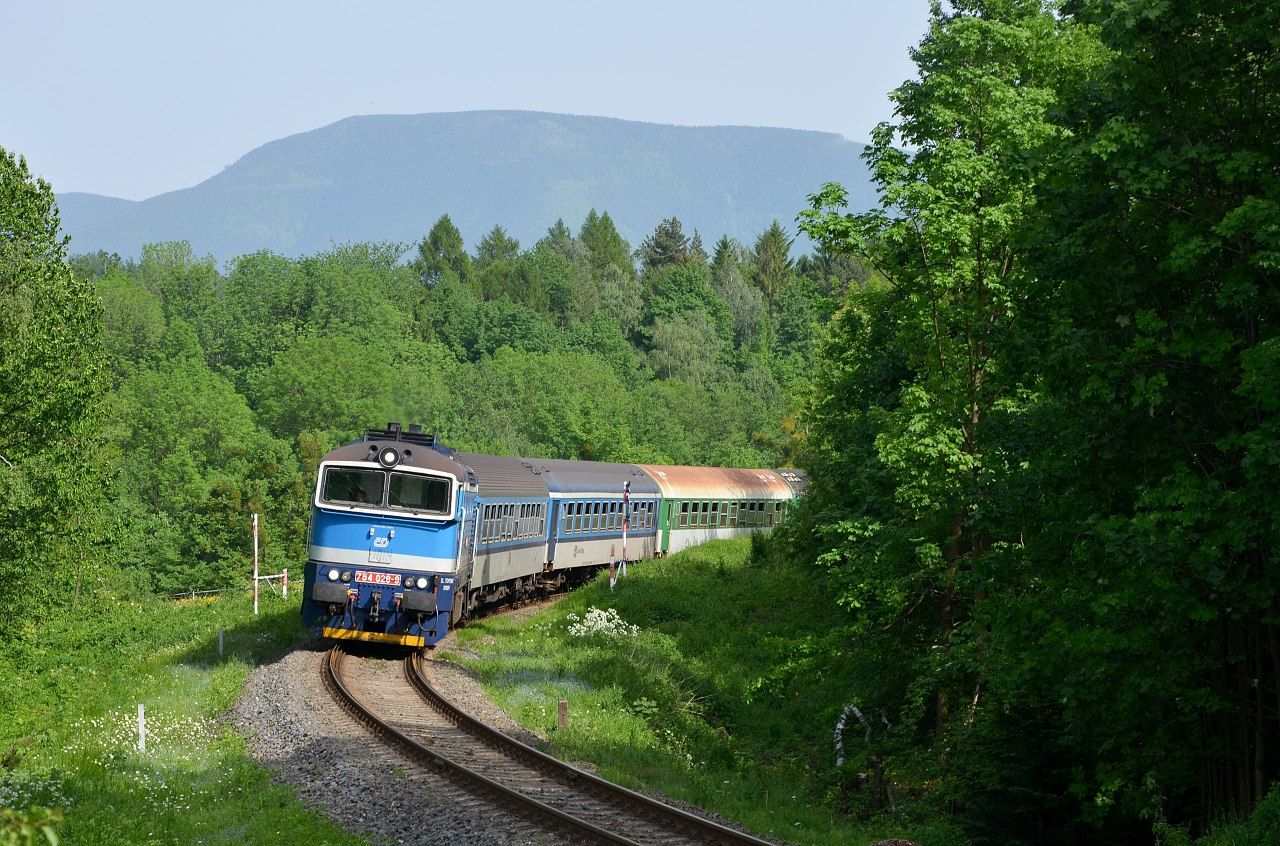 754.028, Kunice pod Ondejnkem, 23.5.2014, autor: Vojtch Gek