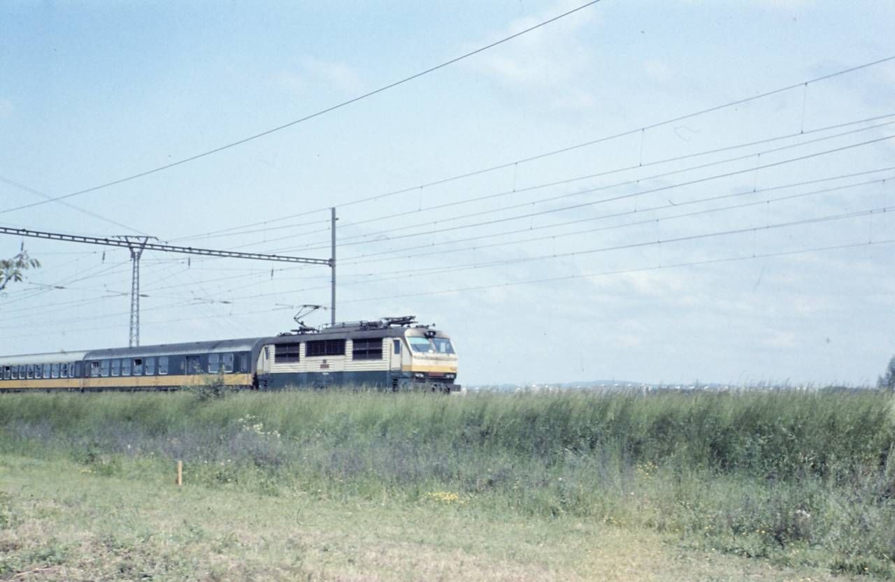 Krysa, njezd na dluhonickou spojku u Perova, lto 1987, smr Slovensko, asi :-)