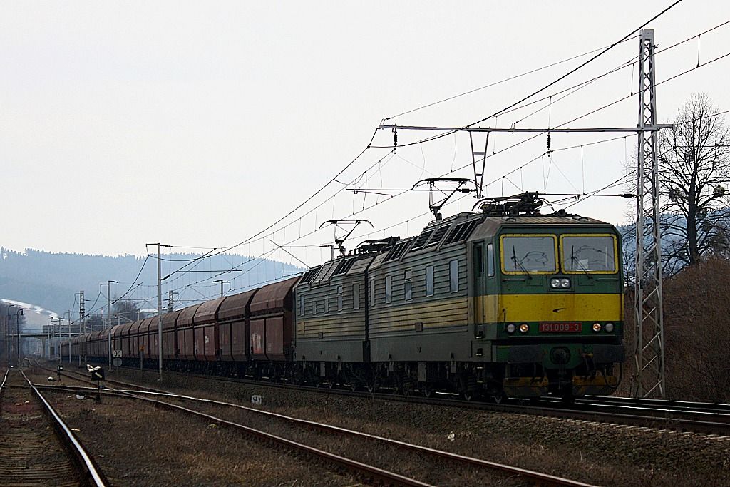 131.009 ZSSK, Vsetn, 20.3.2010