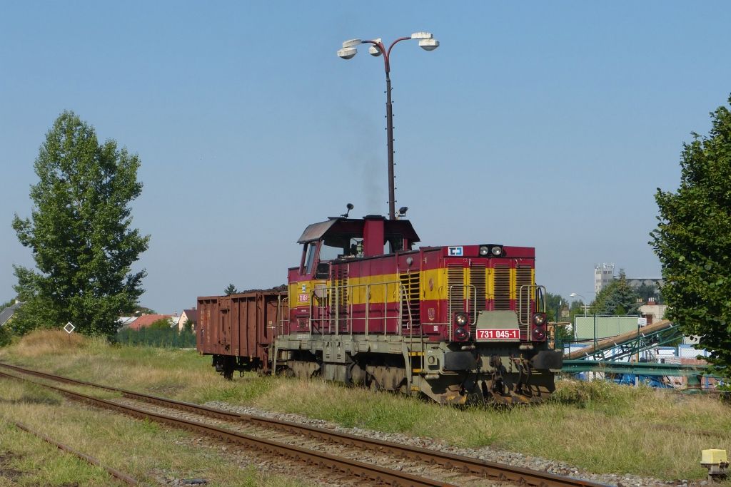 731 045-1 Holeov(12.8.2013,foto-Ale Krka)