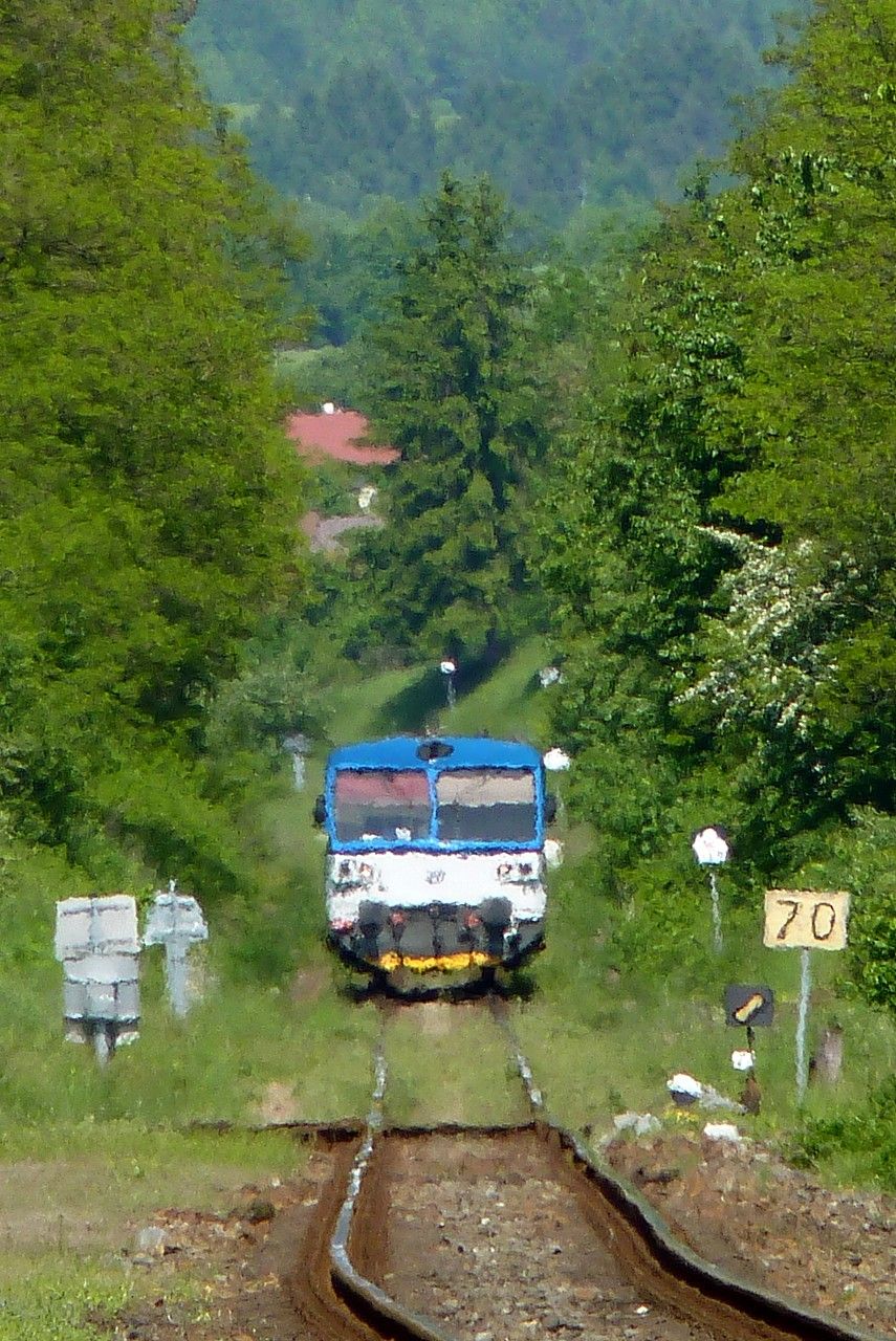 810.015 , Valask Klobouky , 28.5.2010, foto:Vojtch Gek